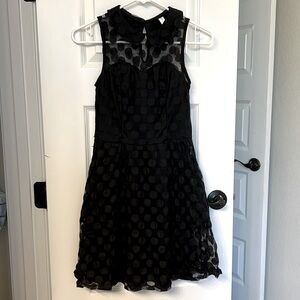 Polkadot Lace Little Black Dress